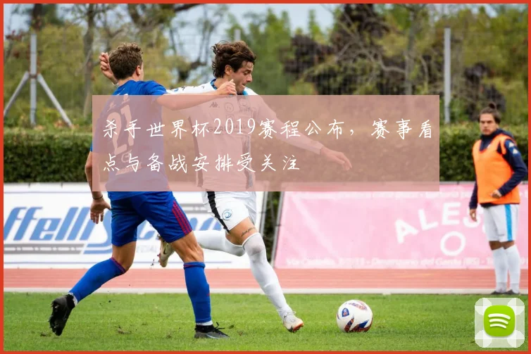 杀手世界杯2019赛程公布,赛事看点与备战安排受关注